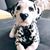 Lilly Frydrych's profile image