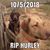 Travis Wheeler's profile image