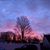 Michelle Camper Burch's profile image