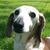 Barbara L Teigen's profile image