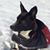 Emma Jaipaul-Valenza's profile image