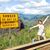 Rachel Willy Perez's profile image