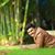 Supreeth Kumar's profile image