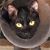 Lynn Gusman's profile image