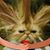 Tammi Griffin's profile image