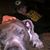 Mike Brandon Kertzman's profile image