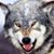 Ken Gaddis's profile image