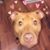 Mary O'Donnell Sell's profile image