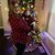 Ryann Donnelly Hayes's profile image