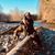 Desiree Atchley's profile image