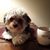 Cathy Warren's profile image