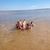 Lesley LeCompte's profile image
