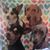 Marnie Marie Miller's profile image