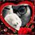 Marianna Frigeni's profile image