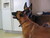 Martha K.'s profile image