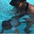 Swim Tastics's profile image