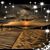 Terri Evoli's profile image