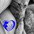 Kristin Lamoureux's profile image