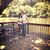 Christa Renae Hipps's profile image