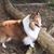 Loisann Huntley's profile image