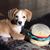 Susan Graver Harmer's profile image