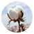 Carroll Hill's profile image