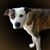 Sandy Macbeth's profile image