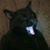 Sabrina McLean's profile image