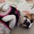 Cherie Chase's profile image