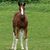 Angel Neubauer's profile image