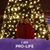 Cathy Reeves Wyatt's profile image