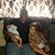 Wilbert Washington Jr's profile image