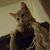 Karin Clem Bradshaw's profile image