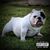 Silviano Franco's profile image