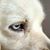 Heather Ann Pridmore's profile image