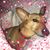 Julie S Hester's profile image