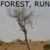 Forest Kent's profile image