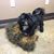 Danny Dale Motley's profile image
