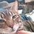 David Hartman's profile image