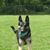 Sandra Sue Weathers Campbell's profile image