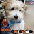 Lessa Touch's profile image