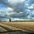 Jennifer Godsey Schafer's profile image