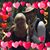 Kendra Kay Schultz's profile image