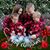 Marion Barget's profile image