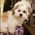 Sylvia Caudle's profile image