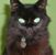 Paul David Simmonds's profile image
