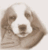 Bo K.'s profile image