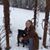 Danna Murchison Hawkins's profile image