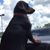 Susan Bates Hughes's profile image