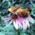 Lynn Wettach's profile image
